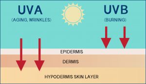 SPF-UVA-UVB